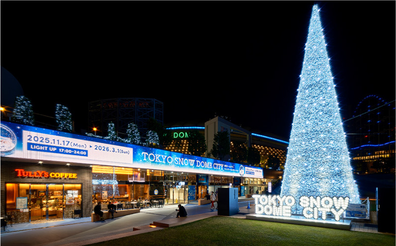 WONDER SNOW TREE 일루미네이션